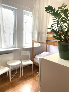 a small room with two chairs and a potted plant at HOSTEL STONEWALL in Poznań
