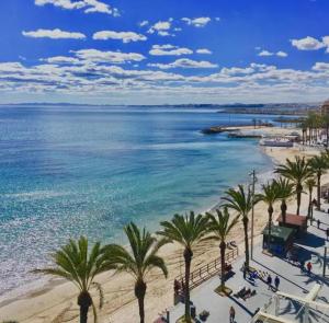 - une vue sur la plage bordée de palmiers et l'océan dans l'établissement Studio Sea View Med Syndicate 8, à Torrevieja