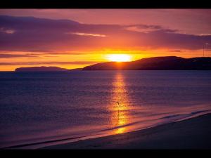 a sunset on the beach with a bird in the water at Bungalow33 Benllech in Benllech