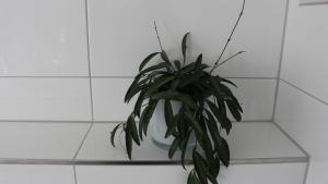 Fotografie z fotogalerie ubytování Appartement Maria v destinaci Egg