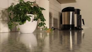 Príslušenstvo na prípravu kávy alebo čaju v ubytovaní Appartement Maria