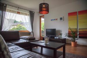 TV a/nebo společenská místnost v ubytování Haus Elisabeth