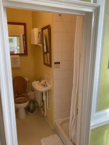 a bathroom with a toilet and a sink at The Old Bakehouse, Walsingham in Little Walsingham