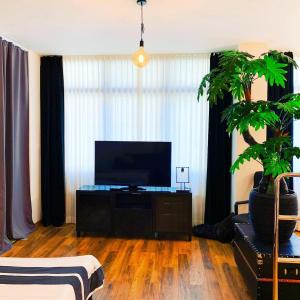 sala de estar con TV y maceta en High Level Apartment en Mannheim