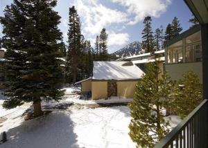 a snow covered yard with a house and trees at St Anton Courtyard View Ski-In and Out 1 Bedroom Condo in Mammoth Lakes
