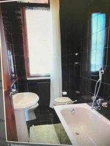 a bathroom with a white toilet and a sink at Villa Olga Lago Maggiore in Castelveccana