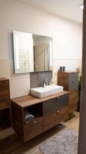 a bathroom with a sink and a mirror at Apartment am Alpakahof Hahn in Grafenschlag