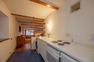 Kuchyňa alebo kuchynka v ubytovaní Gailtal Appartements Nähe Skigebiet