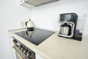 Kuchyň nebo kuchyňský kout v ubytování Royal Accommodation + 37 fotografií