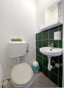 uma casa de banho com um WC branco e um lavatório. em Hargita Panzio em Vecsés