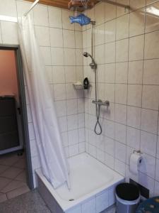 a shower with a shower curtain in a bathroom at Auerandzimmer in Nienhagen