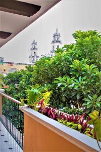 Zahrada ubytování Hotel Caribe Merida Yucatan