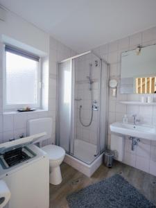 een badkamer met een douche, een toilet en een wastafel bij Beachcomber House B in Friedrichskoog