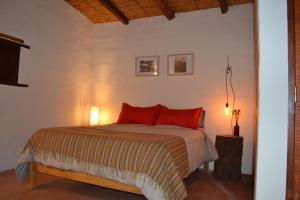 Un dormitorio con una cama con almohadas rojas. en Cabañas Sixilera en Huacalera