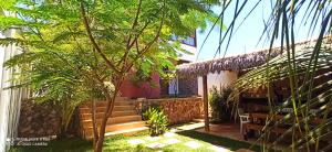 a house with a palm tree in the yard at Casa Verde Canoa Quebrada in Canoa Quebrada