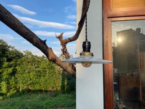 una luz colgando de una ventana con un árbol en Swallows Hostel, en Xiaoliuqiu