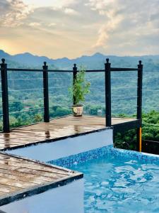 a potted plant sitting on a deck next to a swimming pool at ROOF TOP Hotel XILITLA in Xilitla