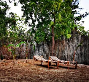 תמונה מהגלריה של Shanka Lodge Zanzibar בקיזימקזי