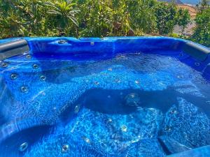 un bassin bleu d'eau avec des arbres en arrière-plan dans l'établissement Moringa Garden Spa, à Chayofa