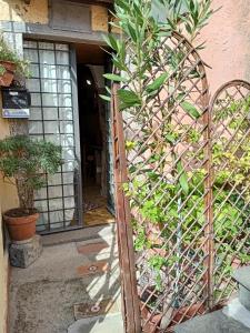 Fotografie z fotogalerie ubytování B&B Bellavista v destinaci Bagnoregio