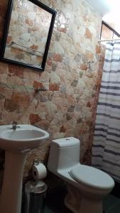 y baño con aseo, lavabo y espejo. en Las Palmeras Eco Hostel, en Cabanaconde