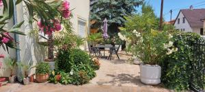 een patio met potplanten en een tafel en stoelen bij Violetta Vendégház in Keszthely