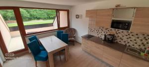 Kuchyň nebo kuchyňský kout v ubytování Apartmány Adieu