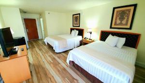 奧蘭多的住宿－電影世界酒店，酒店客房设有两张床和一台平面电视。