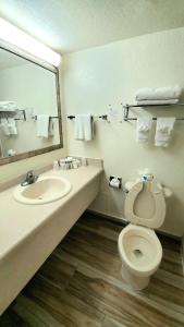 a bathroom with a toilet, sink, and mirror at Monumental Movieland Hotel in Orlando