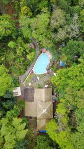 una vista aérea de una piscina en un bosque en Acqua Jungle Glamping & Room en Ilha Grande