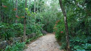 a brick path in the middle of a forest at Blue Valley Estate - Mountain View Villa in Yercaud