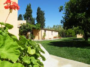 un patio con un edificio y una flor roja en Case Vacanza Teulada, en Teulada