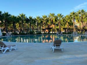 Duas espreguiçadeiras ao lado de uma piscina com palmeiras em Herdade dos Salgados - Apartamento T2 na Guia