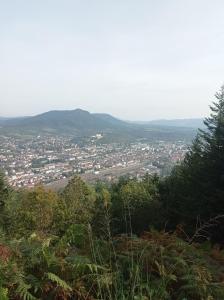 - Vistas a la ciudad desde la cima de una montaña en Chambre chez l'habitant en Saint Die