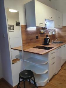 Kuchyň nebo kuchyňský kout v ubytování Moti Apartments