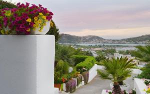 a white wall with a pot of flowers on it at Hotel Cala Moresca in Bacoli