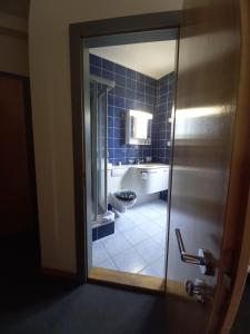 La salle de bains est pourvue de toilettes, d'un lavabo et d'un miroir. dans l'établissement Auberge d'Etoy, à Rolle