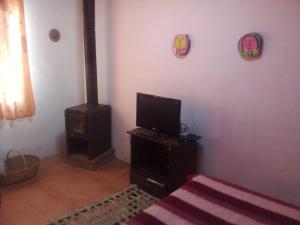 sala de estar con TV y estufa de leña en Cabaña del huasamayo en Tilcara