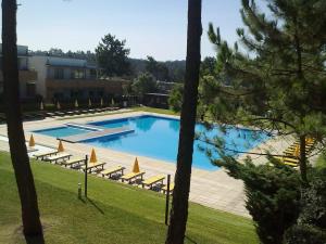 uma grande piscina com espreguiçadeiras e árvores em Barca House - Nature - Golf - Pool & Beach em Esposende