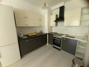 Kuchyň nebo kuchyňský kout v ubytování apartment golden Prague