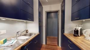 a kitchen with a sink and blue cabinets at Abitaziun Au Reduit 404 - St Moritz in St. Moritz +18 photos