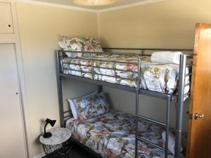 a room with three bunk beds and a couch at Mackenzie Cottage in Twizel