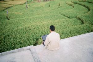 a man sitting on a ledge with a laptop in a field at Musa Canggu in Canggu