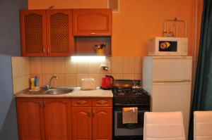 una piccola cucina con lavandino e frigorifero di Spacious apartment with balcony a Kremenčuk