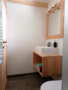 ein Bad mit einem Waschbecken und einem Spiegel in der Unterkunft Guesthouse Planinski Dom Majerhold in Solčava