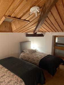 a bedroom with two beds and a wooden ceiling at Les Gîtes de l'aiguete in Hauterives +65 photos
