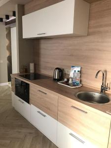 cocina con fregadero y encimera en PaulMarie Apartments on Chigrinova 3, en Mogilev