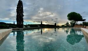 a swimming pool with a tree and a cloudy sky at Fattoria Di Pancole in San Gimignano