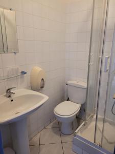 La salle de bains est pourvue de toilettes, d'un lavabo et d'une douche. dans l'établissement Le Cocardier, à Saintes-Maries-de-la-Mer