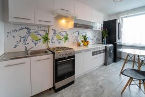 Kuchyňa alebo kuchynka v ubytovaní Apartament Nero